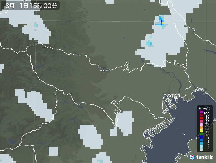 東京都の雨雲レーダー(2020年08月01日)