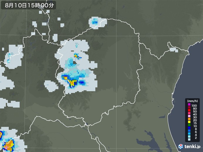 栃木県の過去の雨雲レーダー 年08月10日 日本気象協会 Tenki Jp