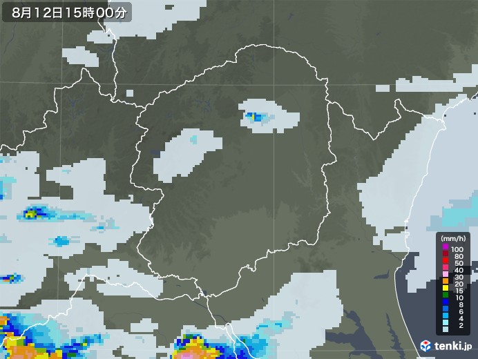 栃木県の雨雲レーダー(2020年08月12日)