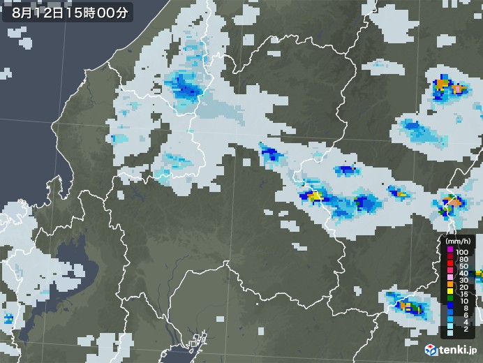 岐阜県の雨雲レーダー(2020年08月12日)