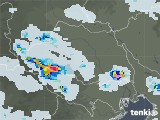 2020年08月13日の埼玉県の雨雲レーダー