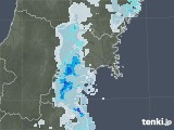 2020年09月01日の宮城県の雨雲レーダー