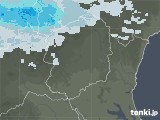 2021年01月29日の栃木県の雨雲レーダー