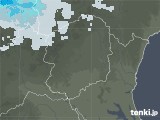 2021年02月03日の栃木県の雨雲レーダー