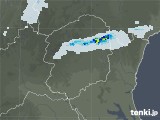 2021年05月29日の栃木県の雨雲レーダー