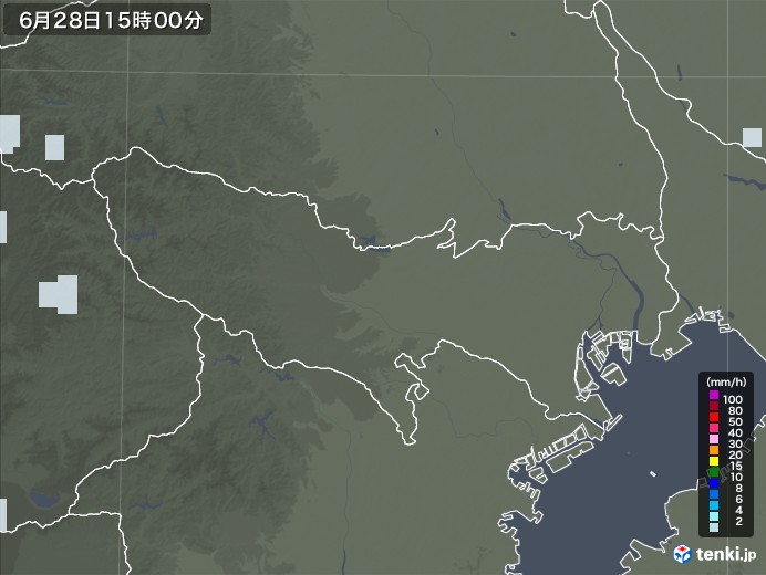 東京都の雨雲レーダー(2021年06月28日)