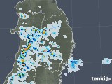 2021年07月13日の岩手県の雨雲レーダー