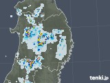 2021年07月21日の岩手県の雨雲レーダー