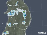 2021年07月24日の岩手県の雨雲レーダー