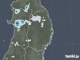 2021年07月25日の岩手県の雨雲レーダー