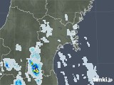 2021年08月07日の宮城県の雨雲レーダー