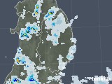 2021年08月08日の岩手県の雨雲レーダー