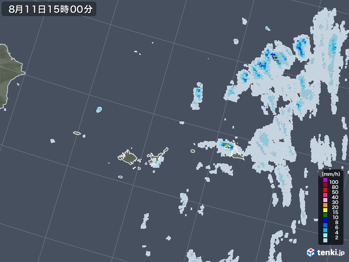 宮古・石垣・与那国(沖縄県)の雨雲レーダー(2021年08月11日)