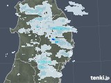 2021年08月11日の岩手県の雨雲レーダー