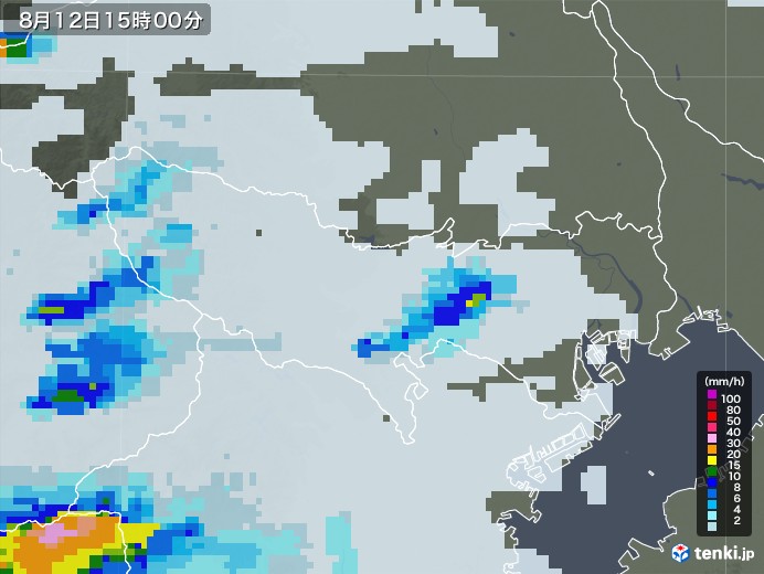 東京都の雨雲レーダー(2021年08月12日)