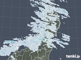 2022年01月31日の東北地方の雨雲レーダー