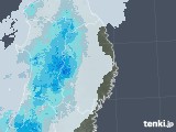 2022年03月05日の岩手県の雨雲レーダー