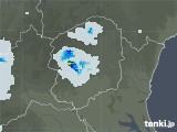 2022年05月20日の栃木県の雨雲レーダー