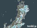 雨雲レーダー(2023年08月20日)