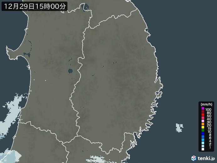 岩手県の雨雲レーダー(2023年12月29日)