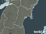 雨雲レーダー(2024年01月31日)