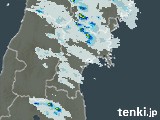 雨雲レーダー(2024年06月01日)