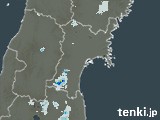 雨雲レーダー(2024年08月09日)