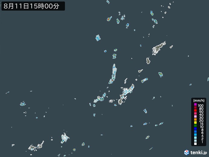 沖縄地方の雨雲レーダー(2024年08月11日)