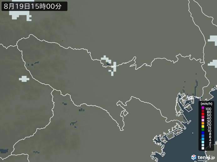 東京都の雨雲レーダー(2024年08月19日)