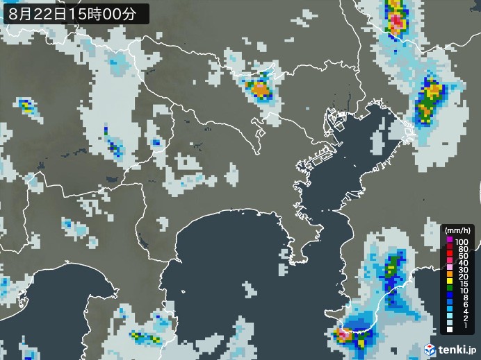 神奈川県の雨雲レーダー(2024年08月22日)