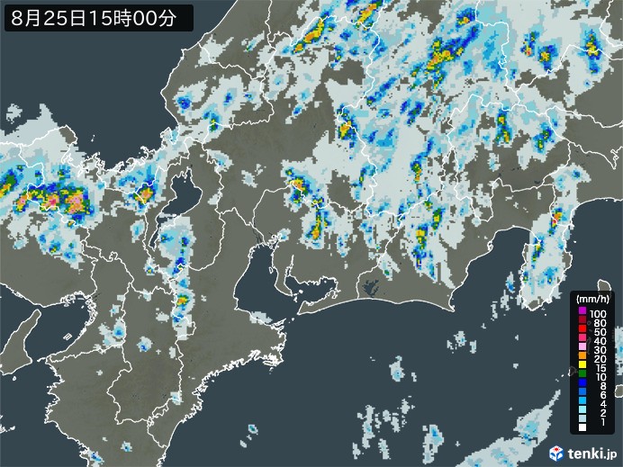 東海地方の雨雲レーダー(2024年08月25日)