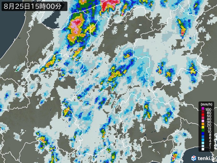 長野県の雨雲レーダー(2024年08月25日)