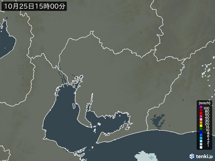 愛知県の雨雲レーダー(2024年10月25日)