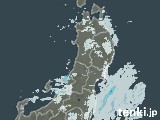 2025年01月21日の東北地方の雨雲レーダー
