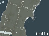 2025年03月13日の宮城県の雨雲レーダー
