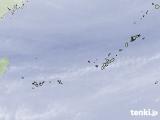 気象衛星(水蒸気)