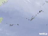 気象衛星(水蒸気)