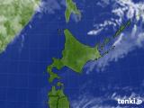 気象衛星(2024年08月11日)