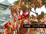 関西　来週は季節が進む一週間に