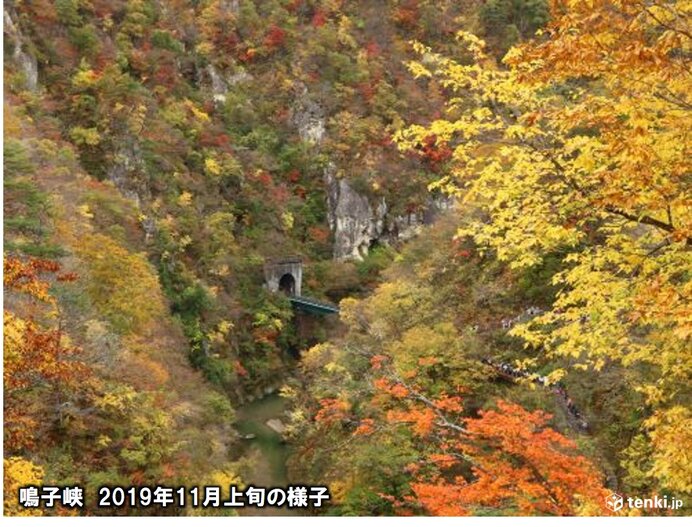 朝晩10度以下　色づき進む　東北地方の紅葉