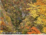 朝晩10度以下　色づき進む　東北地方の紅葉