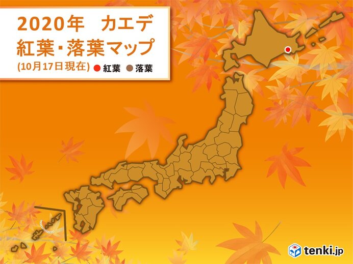 釧路でカエデが紅葉　この秋　全国で初