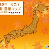 釧路でカエデが紅葉　この秋　全国で初