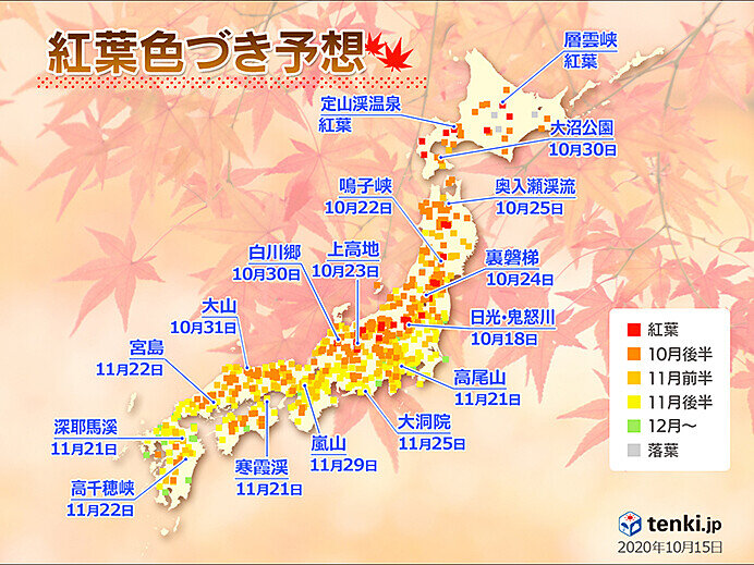 秋はゆっくり深まる 紅葉への影響は コートの出番は 1か月予報 日直予報士 年10月22日 日本気象協会 Tenki Jp