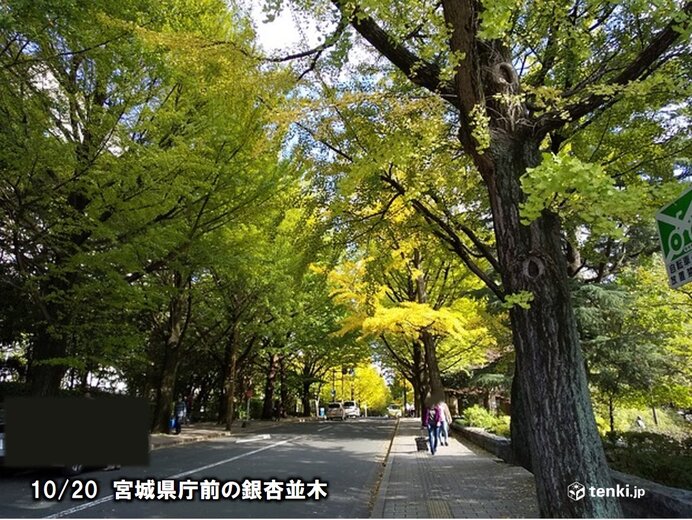 市街地も色づき始めています。