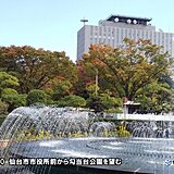 東北地方の紅葉　市街地も色づく　週末の紅葉狩りはどこにする