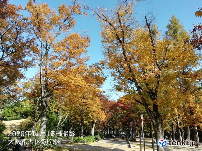 関西　18日は季節外れの暖かさ、夏日の所も?