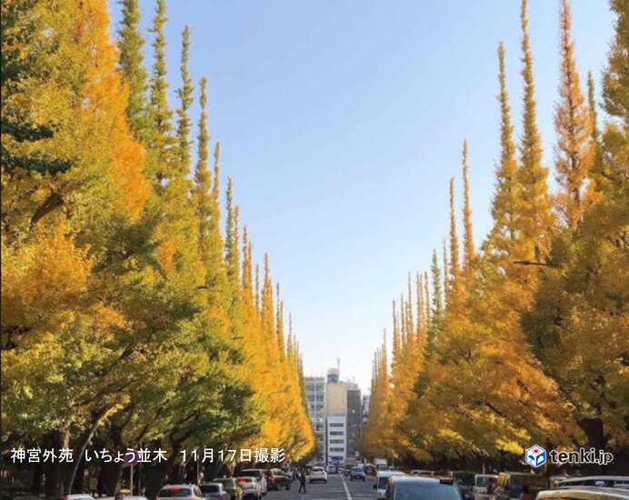 東京都心　15年ぶり　11月に10日連続降水なしか