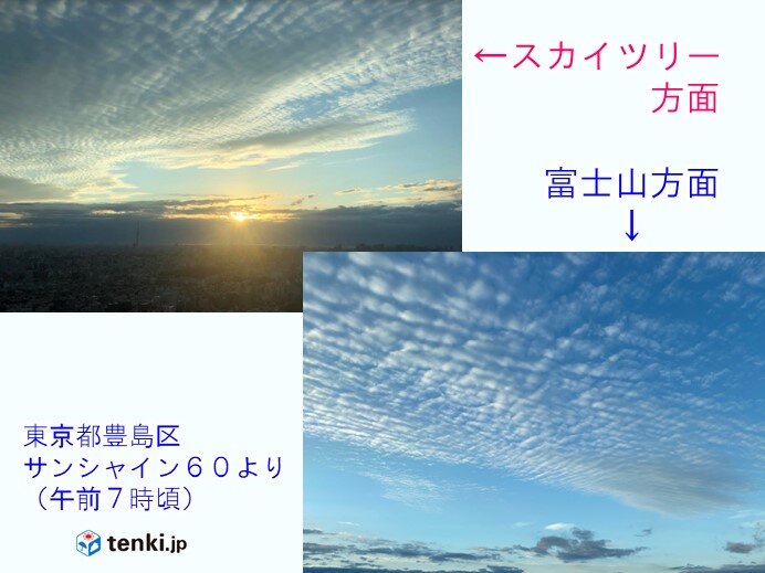 日曜日の関東 昼頃まで雲が多い 空気が冷たく気温は15度以下 日直予報士 年11月29日 日本気象協会 Tenki Jp