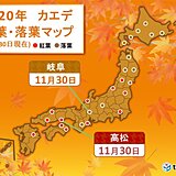 高松でカエデの紅葉　京都などではイチョウの落葉も　季節は次第に冬へ